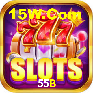 55B App Interface
