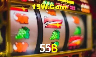 Flash Promotion 55B